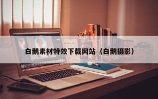 汉中白鹅素材特效下载网站（白鹅摄影）